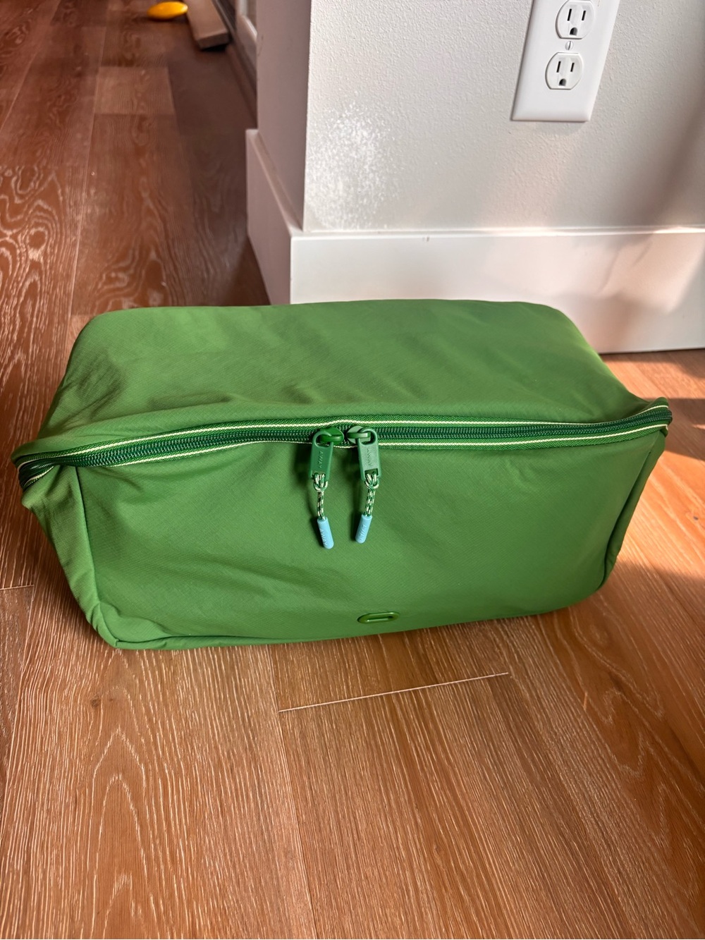 AWAY brand Green Travel Packing Cube shoe Organizer - New!!!